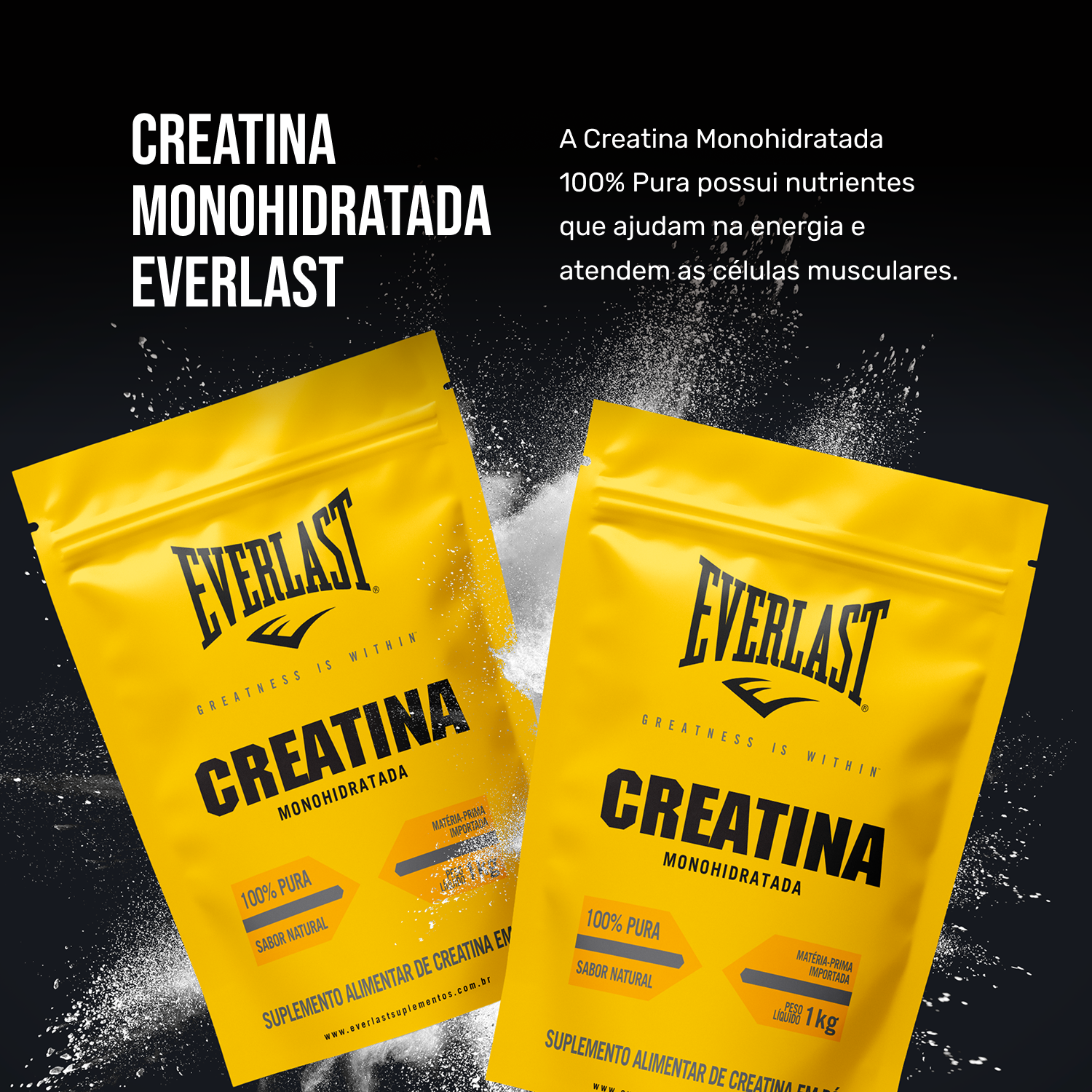 Creatina Monohidratada 100% Pura 1kg Everlast