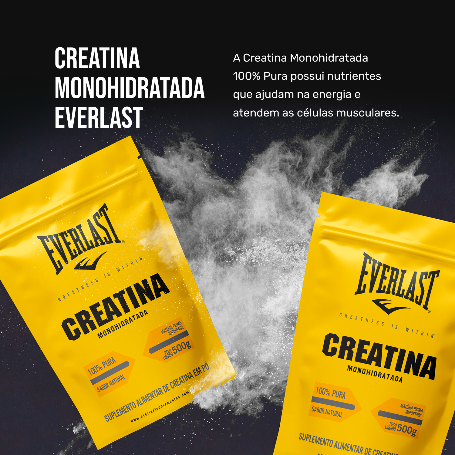 Creatina Monohidratada 100% Pura 500g Everlast