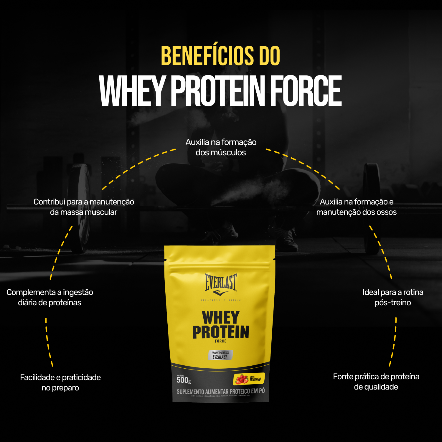 Whey Protein Force Everlast 500g