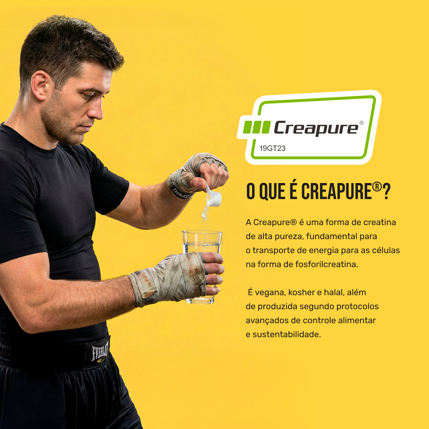 Creatina Creapure® 200g Everlast